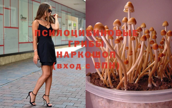 mix Лиски