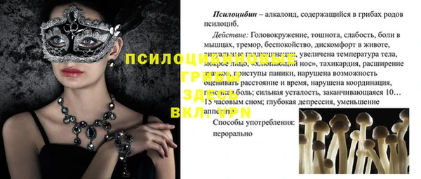 дживик Лихославль